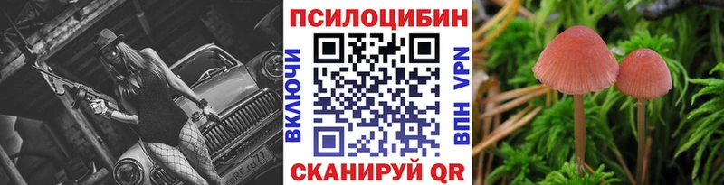 shop как зайти  Мураши  Псилоцибиновые грибы MAGIC MUSHROOMS 